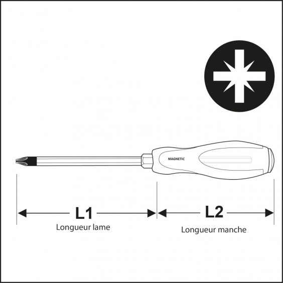 Tournevis Pozidriv Lame Traversante PZ2x100 mm KARX