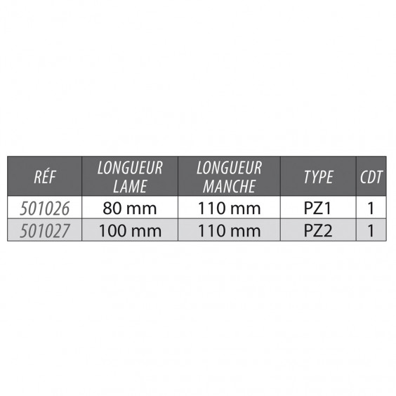 Tournevis Pozidriv Lame Traversante PZ2x100 mm KARX