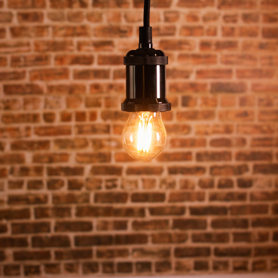 Ampoules LED à filaments E27 4W blanc chaud - Verre transparent - variable