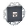 Prise RJ45 Murale Cat. 6 Simple Anthracite NOANE