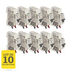 Lot de 10 Disjoncteurs 10A connexion automatique 1P+N 3kA