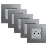 Lot 5 Prises Murales Affleurantes 16A Complètes Gris Alu NOANE